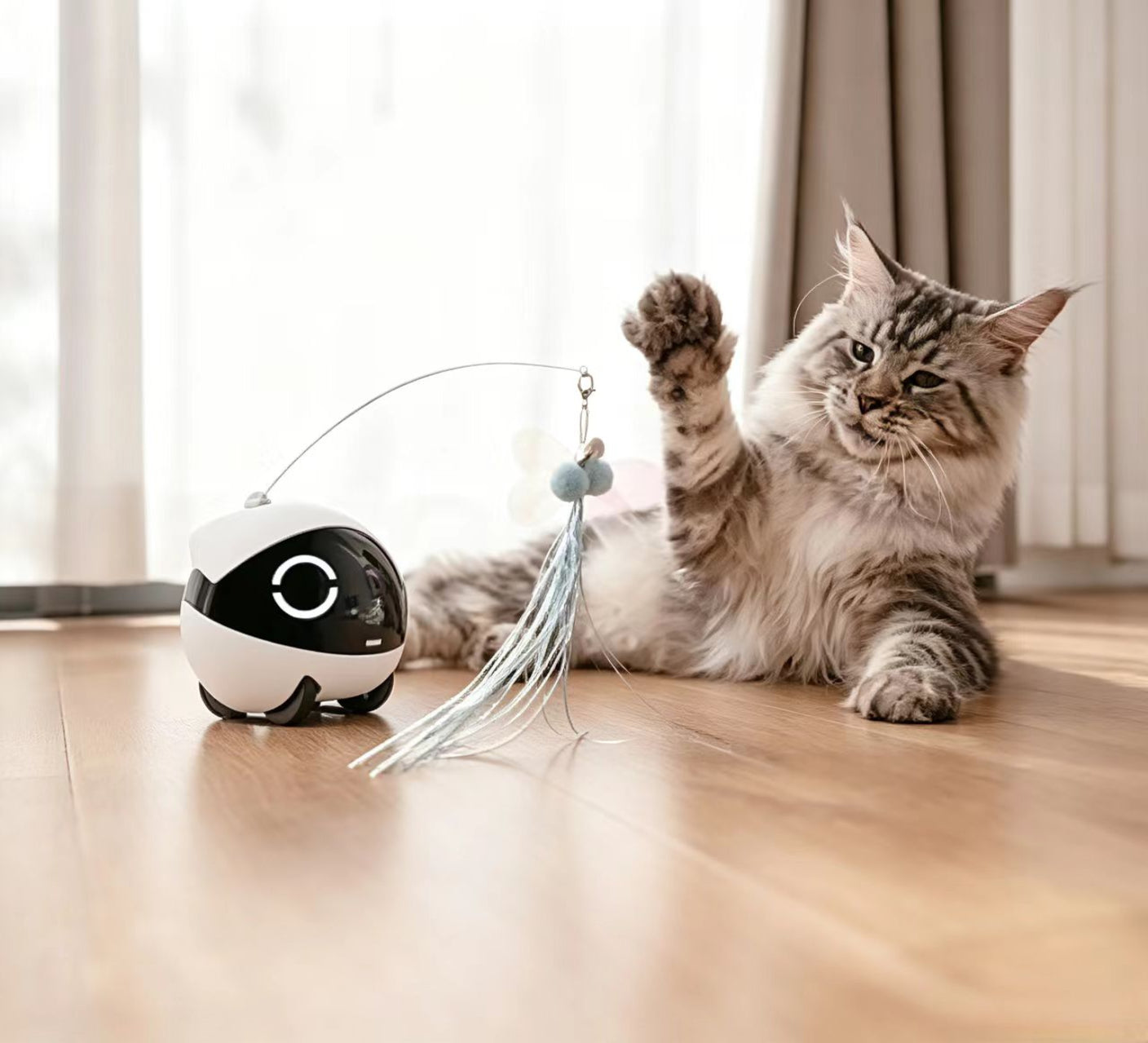 Remotely control a pet robot to play with a cat