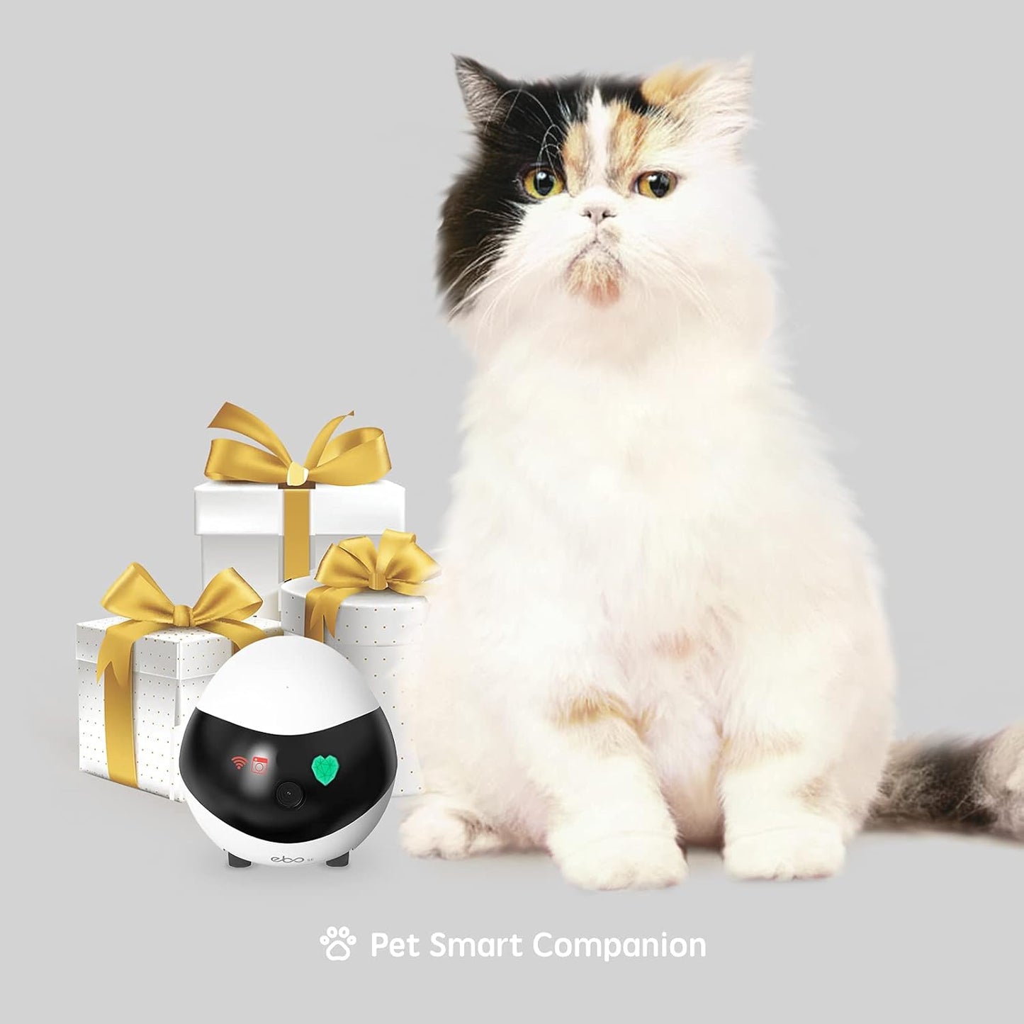 FamilyBot: 1080P Movable Pet Camera Robot