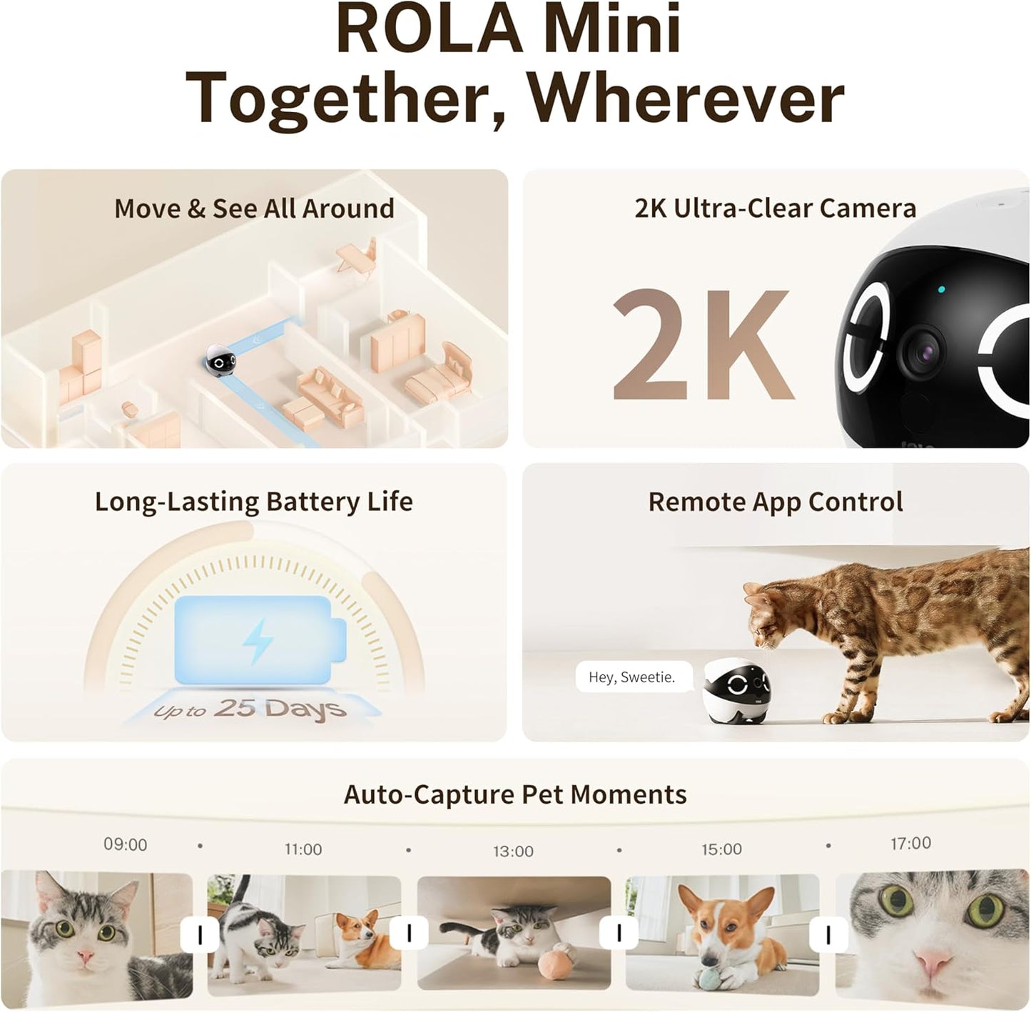 EBO ROLA Mini FamilyBot